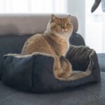 Beeztees Baboo Kattenmand – 48×37 cm - Afbeelding 2
