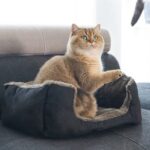 Beeztees Baboo Kattenmand – 48×37 cm - Afbeelding 3