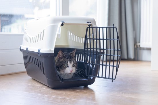 Beeztees Gypsy Kattenreismand - Afbeelding 2