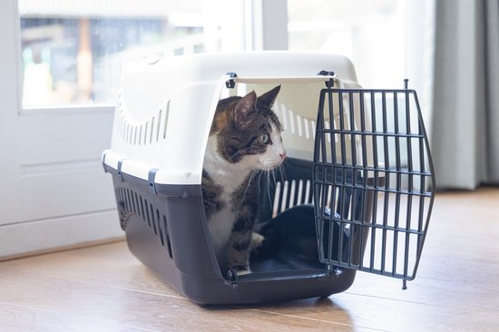 Beeztees Gypsy Kattenreismand - Afbeelding 3