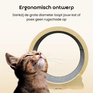 Billie & Bailey Houten Kattenloopwiel - Afbeelding 3