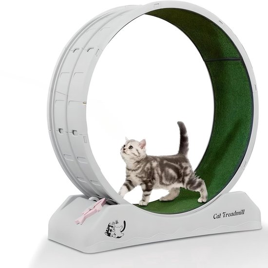 BlueTime Combi-Kattenloopwiel
