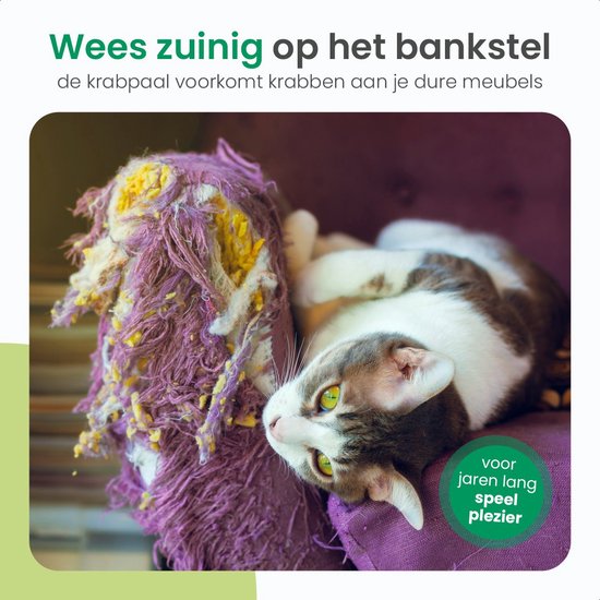 Gopets Cactus Krabpaal - Afbeelding 4
