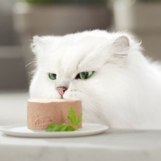 Gourmet Gold Mousse Mix - 96x85g - Afbeelding 3