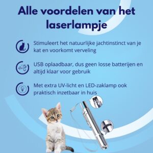 Knaak 4-in-1 USB Laserpen voor Katten - Afbeelding 2