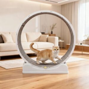 NordHaus 32kg Kattenloopwiel - Afbeelding 3