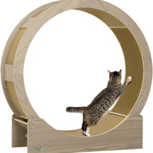 PawHut Walnoot Kattenlooprad