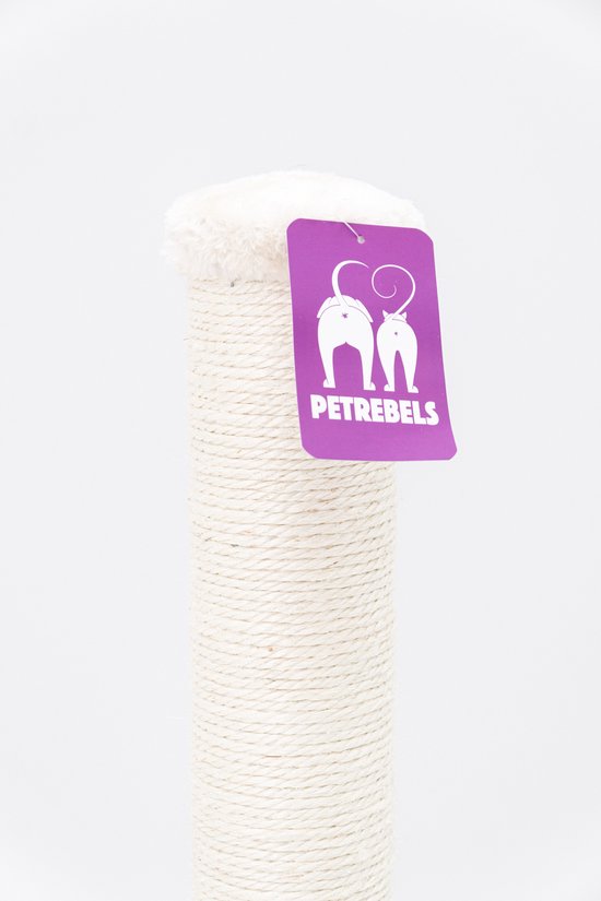 Petrebels Maine Krabpaal - Afbeelding 3