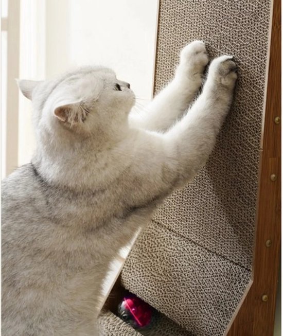 Purlov Hoekkrabpaal voor Katten 3