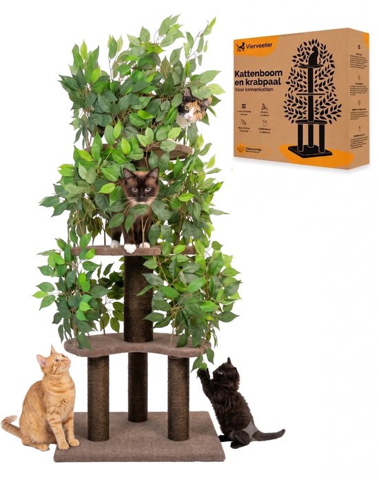 Viervoeter Kattenboom met Bladeren