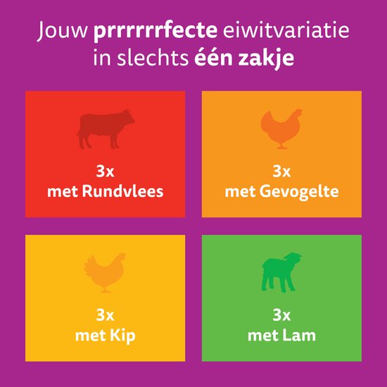 Whiskas Junior Classic Megapack - Afbeelding 2