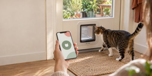 Kattenluik met chip en app