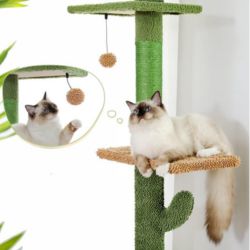 Kattenu CactusTower